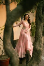 Gul - Image 2